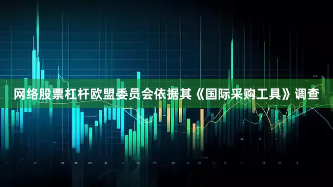 网络股票杠杆欧盟委员会依据其《国际采购工具》调查