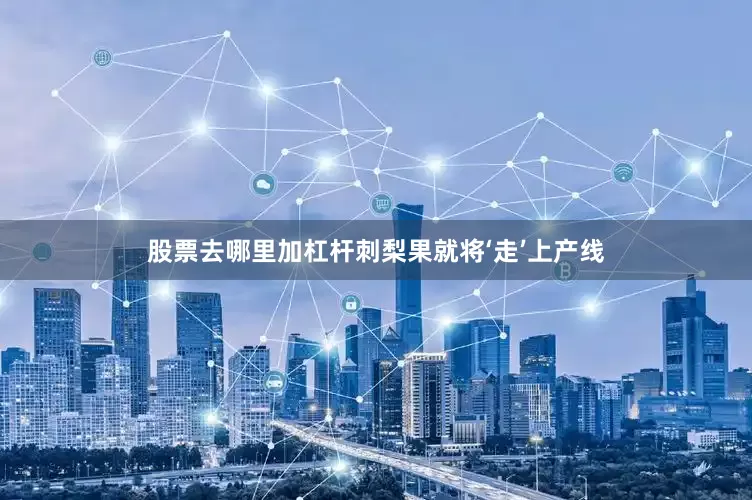 股票去哪里加杠杆刺梨果就将‘走’上产线