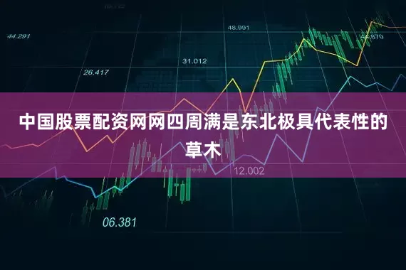 中国股票配资网网四周满是东北极具代表性的草木